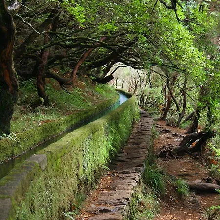 Semesterbostad Lucilia's House Calheta (Madeira)