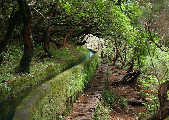 別荘 Lucilia's House カリェタ